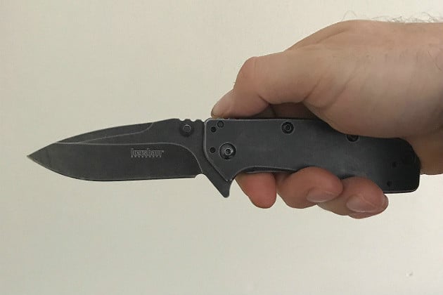 Kershaw Cryo II