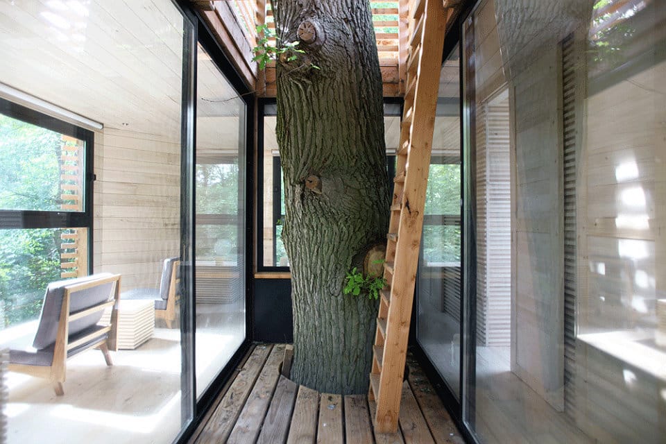 Origin Tree House