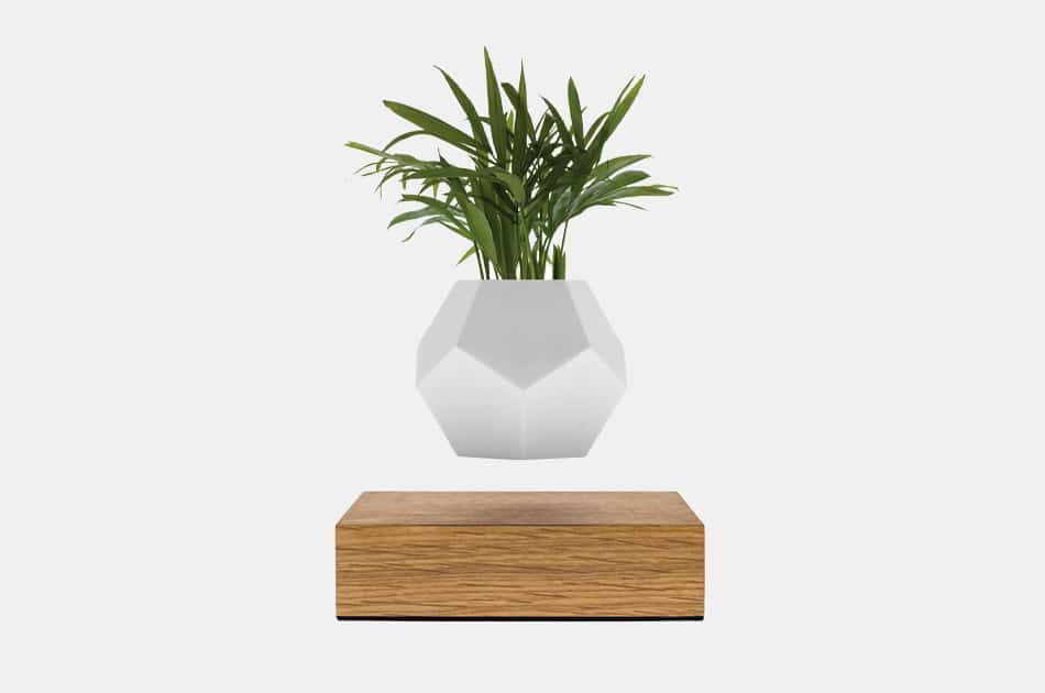 https://gearmoose.com/wp-content/uploads/2019/09/Lyfe-Hovering-Planter.jpg