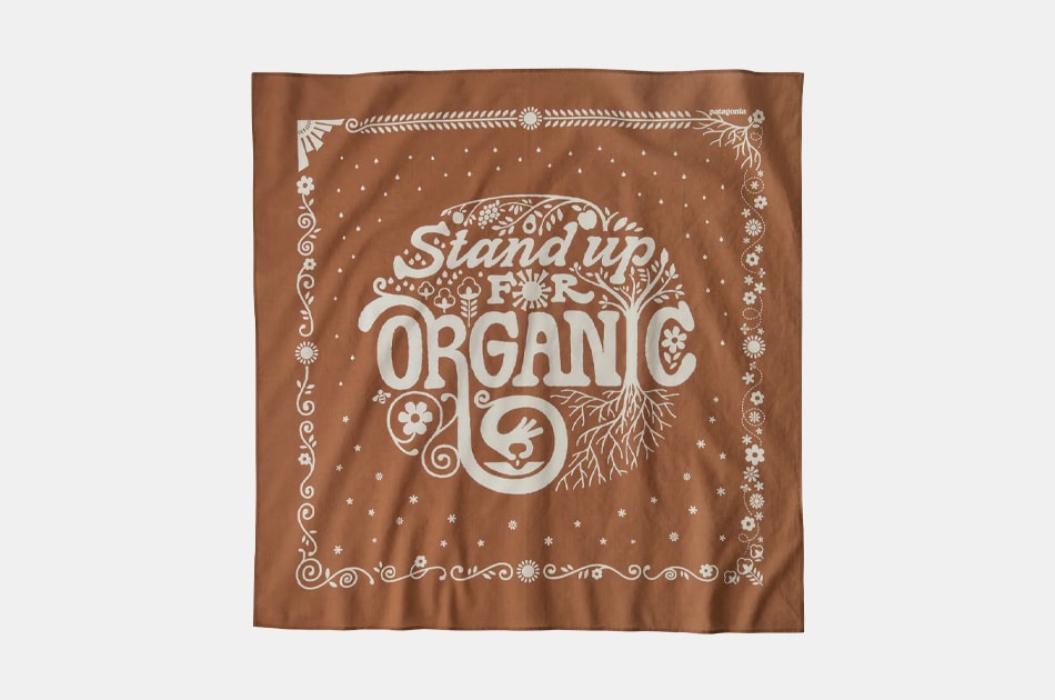 Patagonia Organic Cotton Bandana