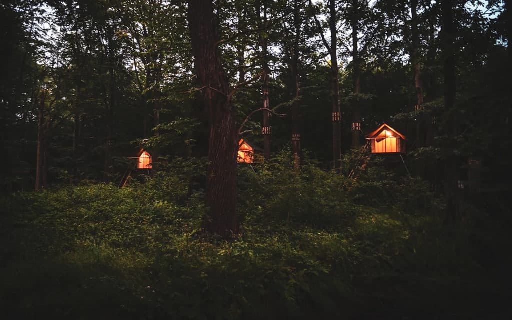 Boomkamp Treehouse Hotel
