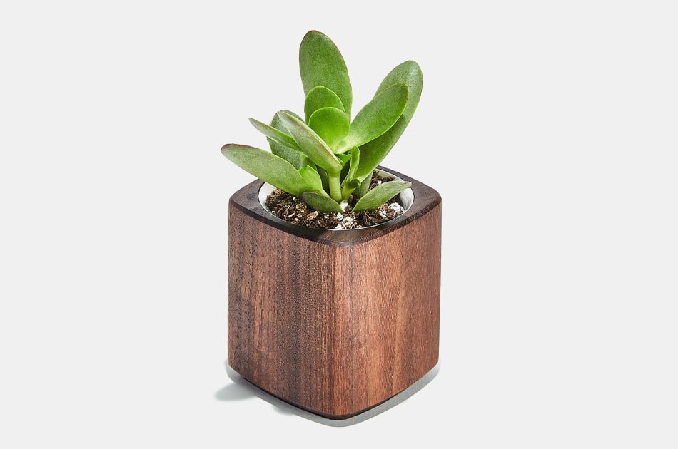 https://gearmoose.com/wp-content/uploads/2020/12/Grovemade-Wood-Planter.jpg