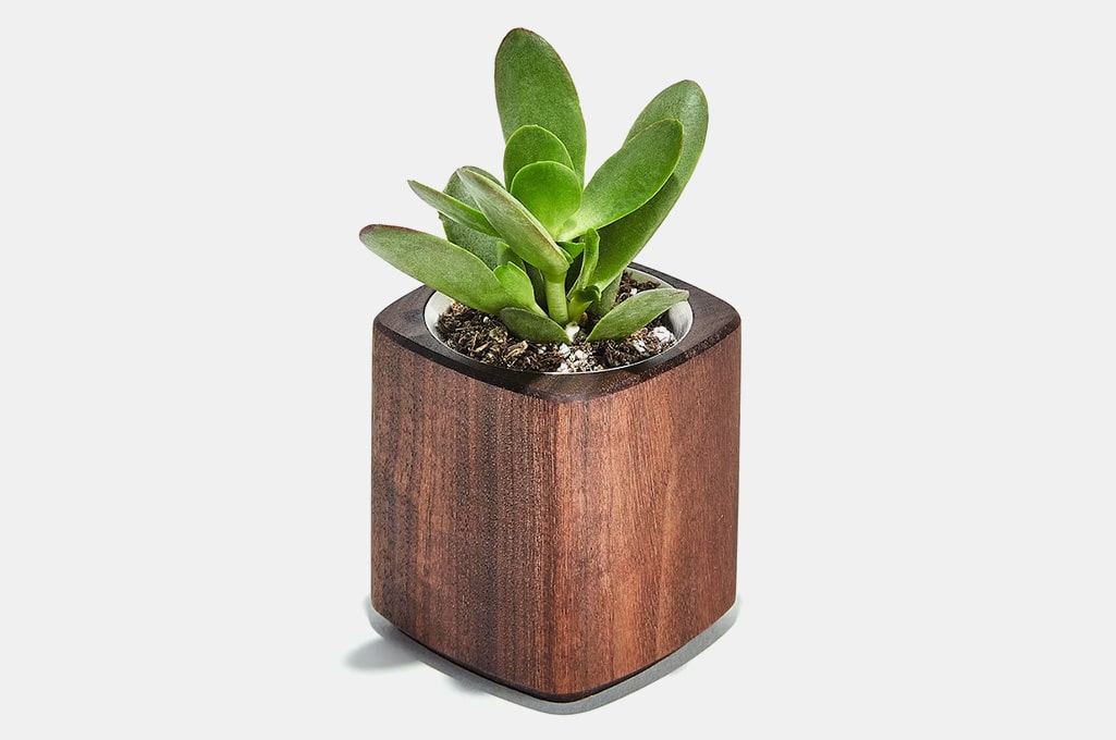 Grovemade Wood Planter