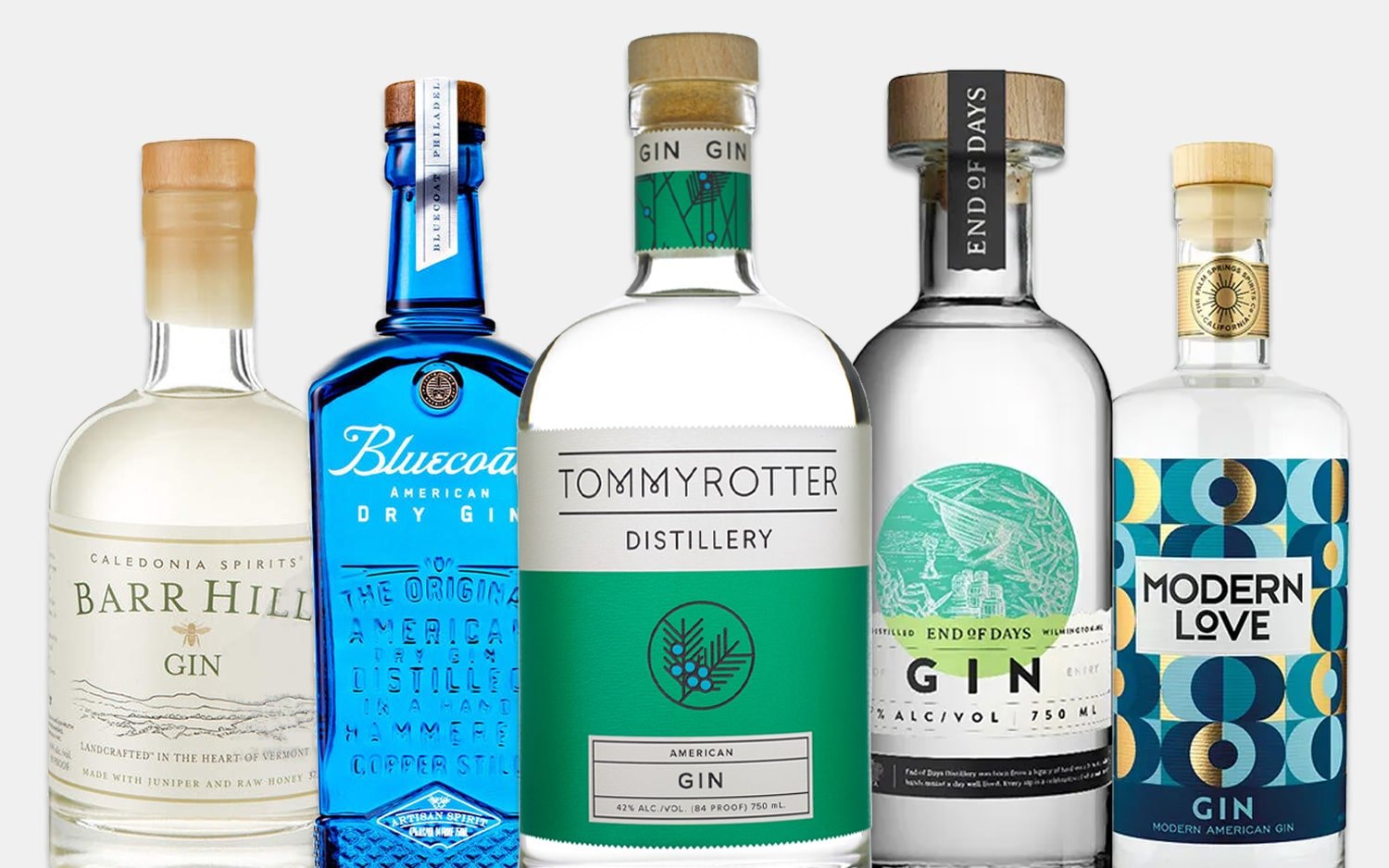 10 underrated american gins to drink now