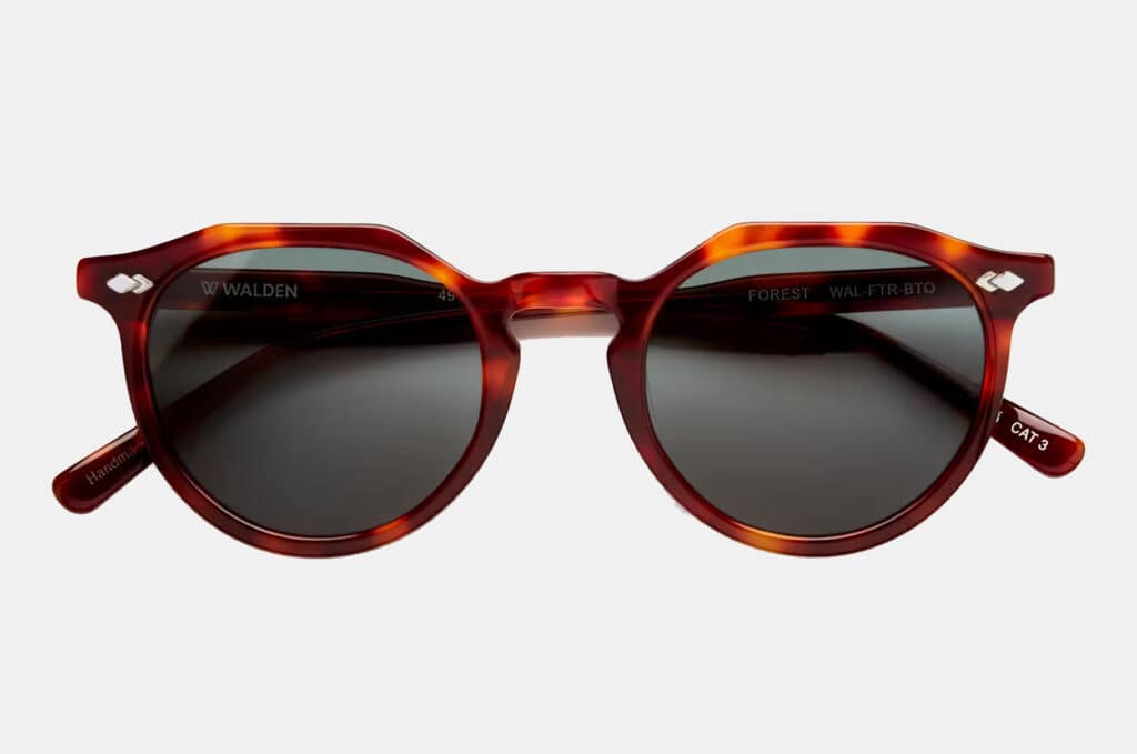Walden Eyewear Forest Sunglasses